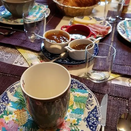 Oda ve Kahvaltı Au Nid De La Madeleine Gaillac
